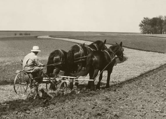 Horse-drawn Plow and Early Contour Farming