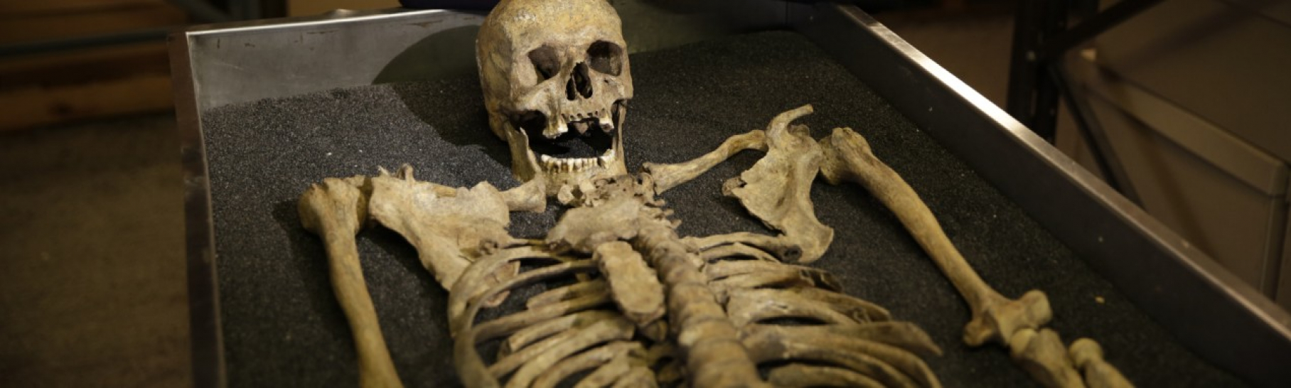 Skeleton from The Black Death episode of Lucy Worsley Investigates