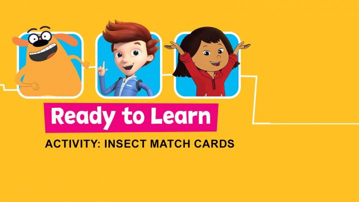 Ready to Learn Activity: Insect Match Cards