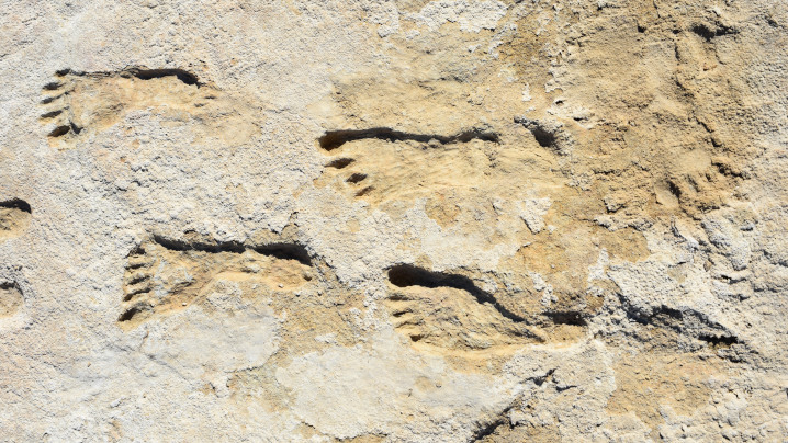 NOVA: Ice Age Footprints