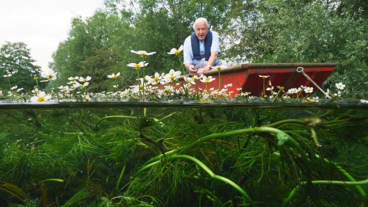 The Green Planet: Tropical Worlds