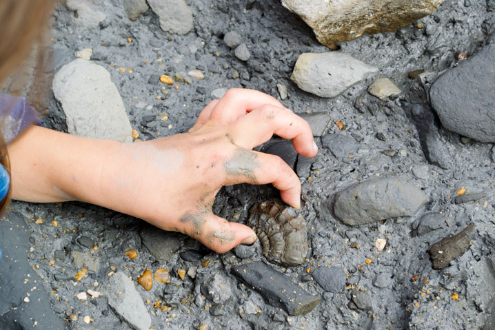 A child lifts a fossil out of a rocky, muddy ground.