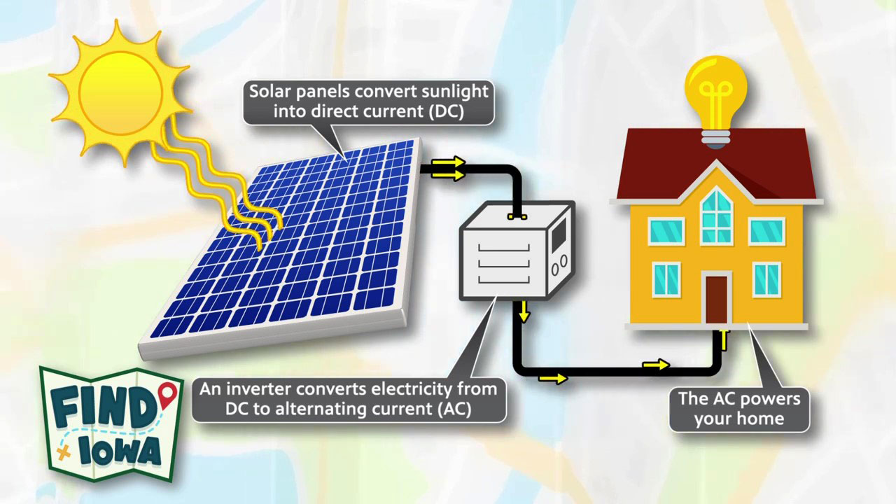 Graphic showing how energy from the sun is collected by solar panels and converted to electricity to be used in homes. 