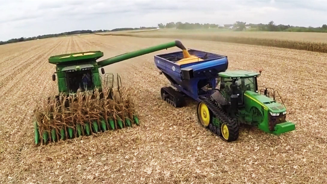 A combine harvesting corn in a field.