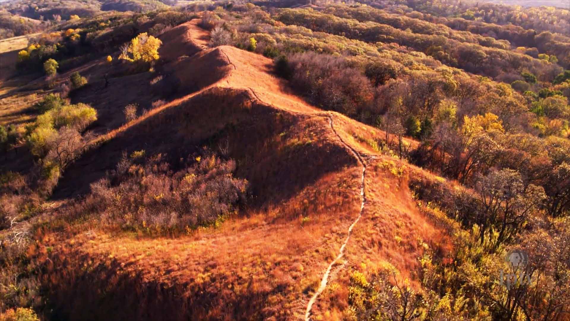 A path along the top of the Loess Hills on a bright, Fall day.