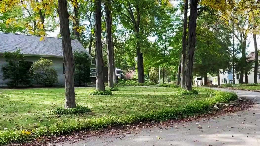 A wooded neighborhood with mature trees.