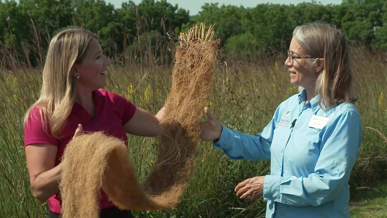 A woman holding a long, complex, network of roots from a prairie plant. Another woman is gesturing toward the roots.