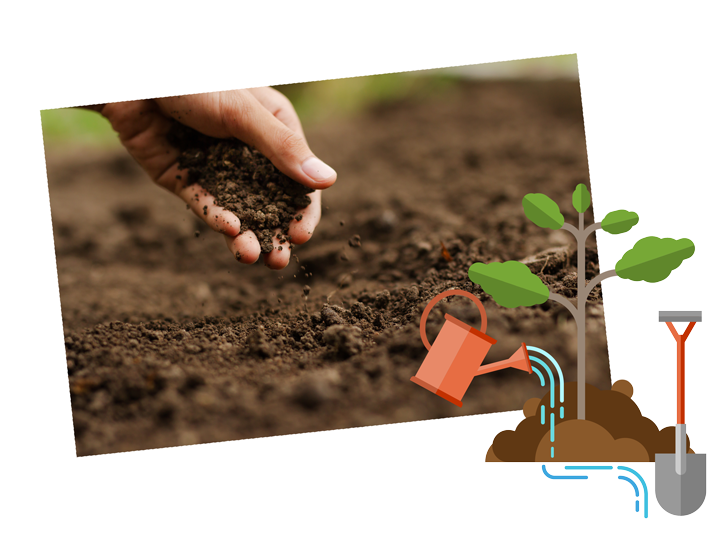 Person holding soil in their hand and illustration of planting a tree