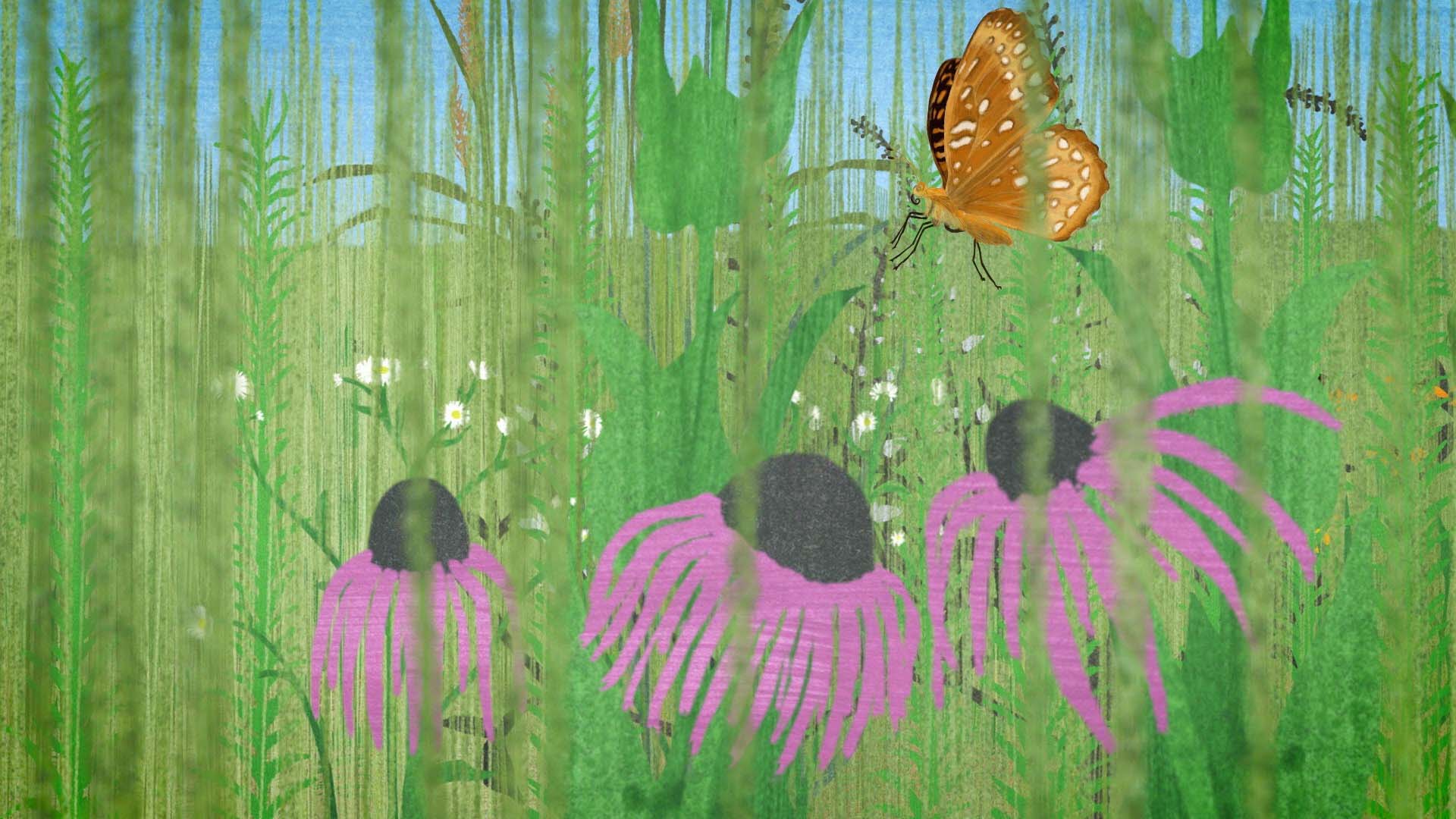An animated monarch butterfly fluttering through a prairie over some purple prairie flowers.