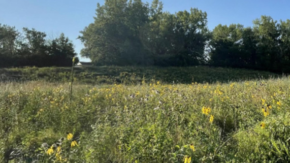 An Iowa prairie in fall