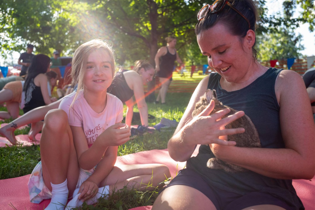 Bunny being held during yoga 