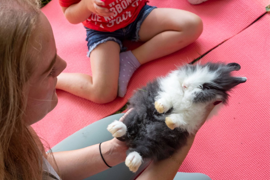 Cute bunny being held at yoga