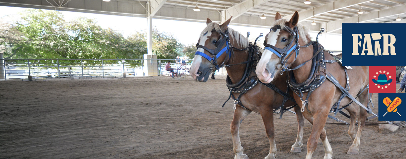 A team of two horses pulling a plow in a show ring.