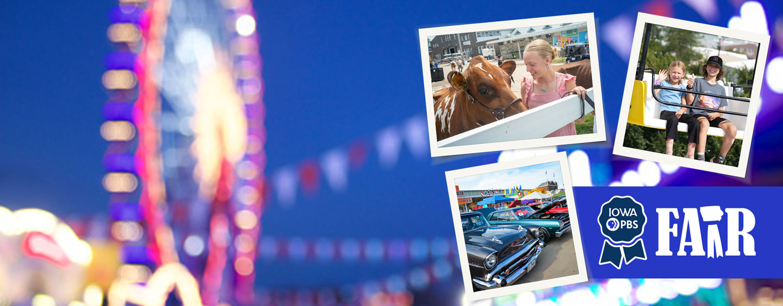 Iowa PBS Fair - a girl grooms her cow, antique cars line Grand Avenue and a brother and sister ride the sky glider.