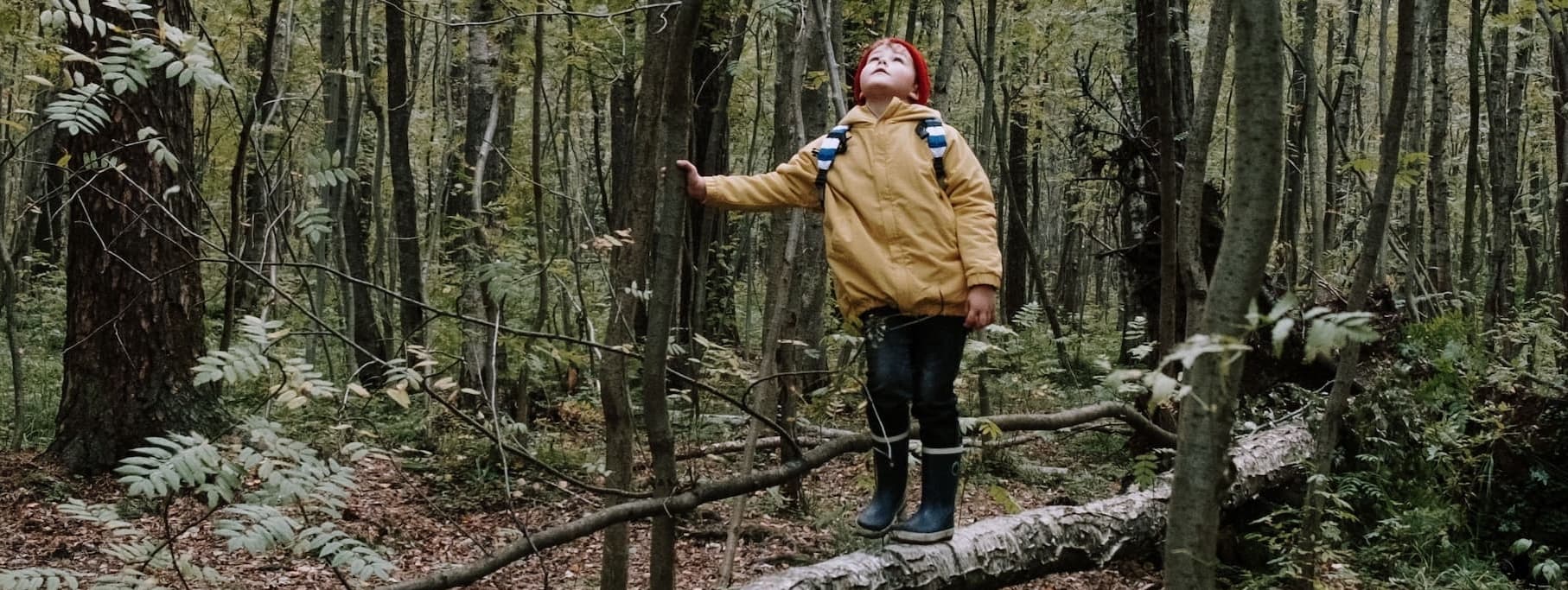Child in the forest looking to the sky