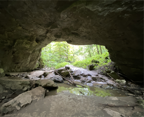 Image of an entrance to a cave.