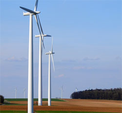 Image of wind turbines in a field.