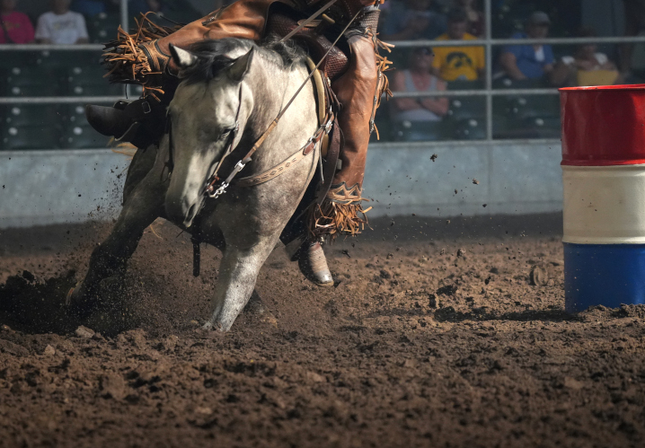 white horse rounding the bend during cowboy mounted shooting