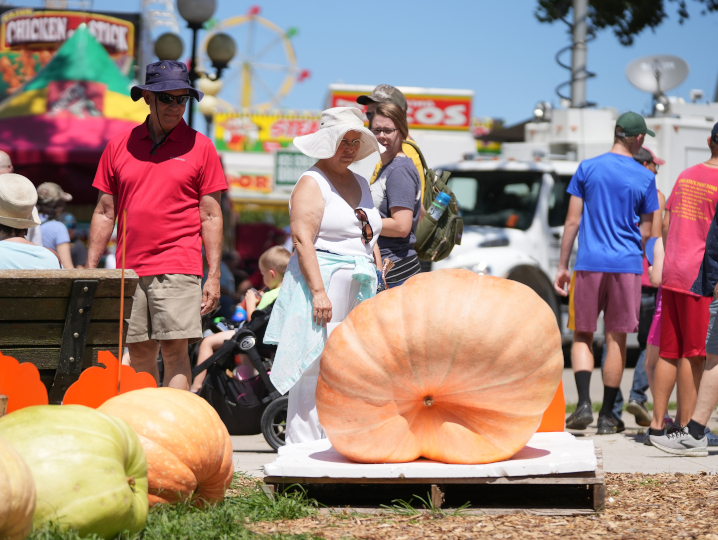 fairgoer enjoying the results from the biggest pumpkin contest