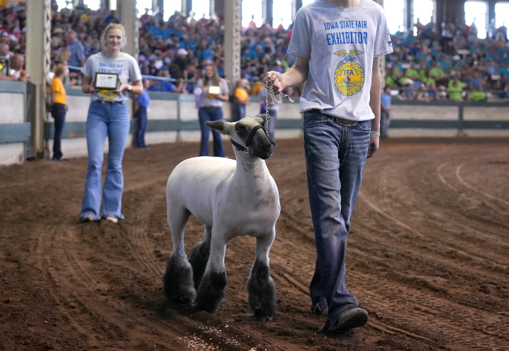 Parade of Champions FFA participant