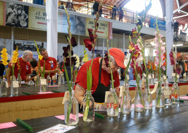 Gladiolos judging in the agriculture building