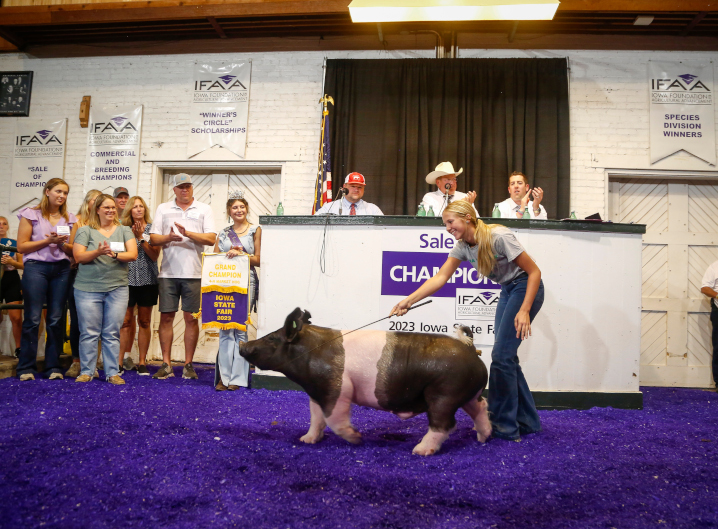 Sale of Champions