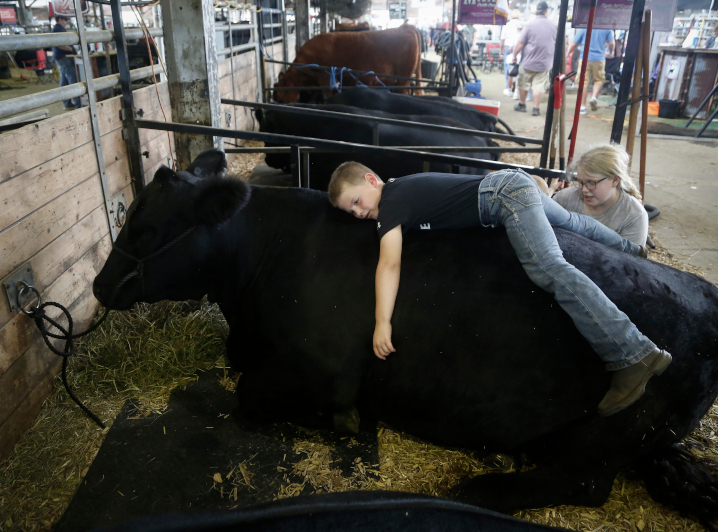 Edwin Warren, 8, of New Sharon, hugs his Simmental cow, Lady, at the cattle barn during the Iowa State Fair.