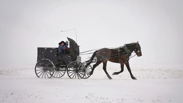 Amish in Iowa