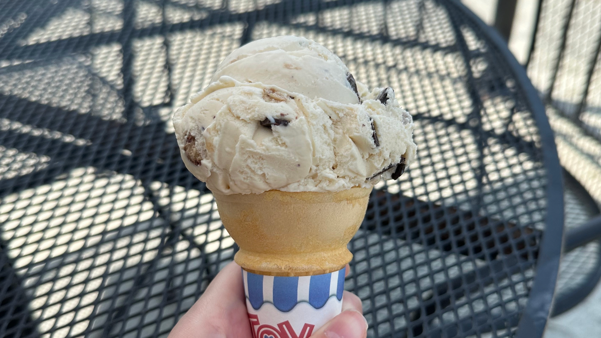 cookie dough ice cream from the creamery in polk city