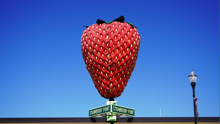 world's largest strawberry
