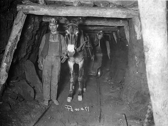 Miners and Mule-drawn Cart, ca. 1900