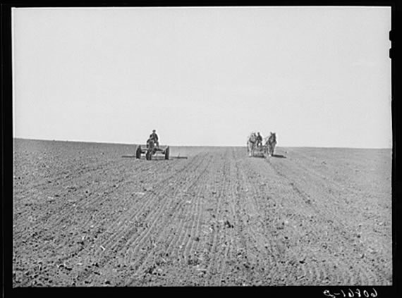 Harrowing and Corn Planting, 1940