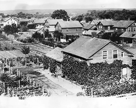 Bird's Eye View in Amana Colonies, ca. 1880