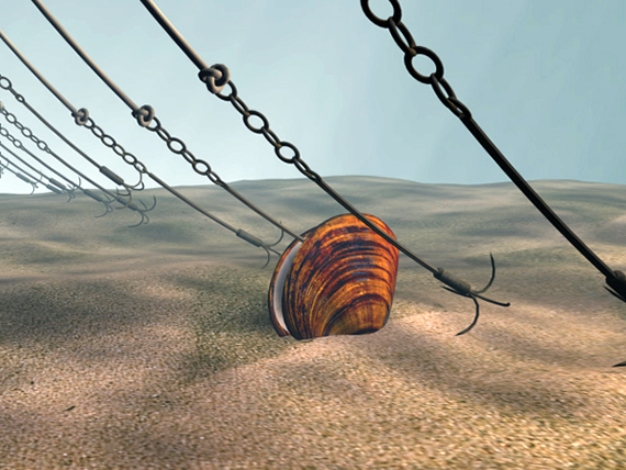 Clamming Hooks Clamming Hooks