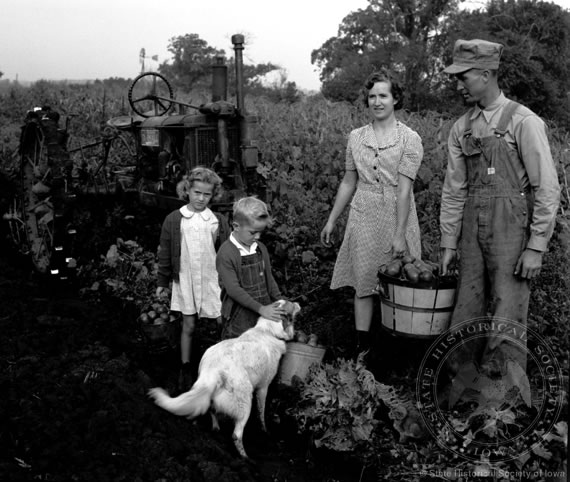 Farm Family Picking Tomatoes, 1945