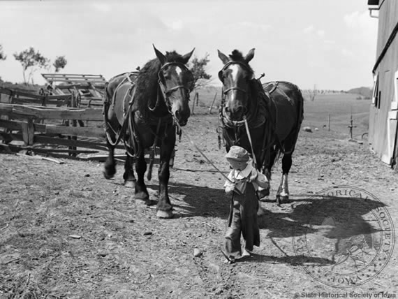 Boy's Farm Chores