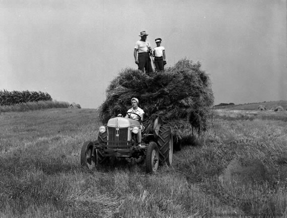 Farm Family Working Together
