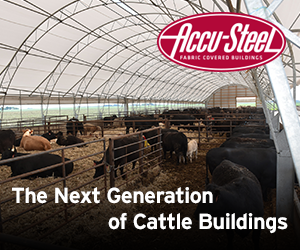 Accu-Steel fabric covered buildings the next generation of cattle buildings