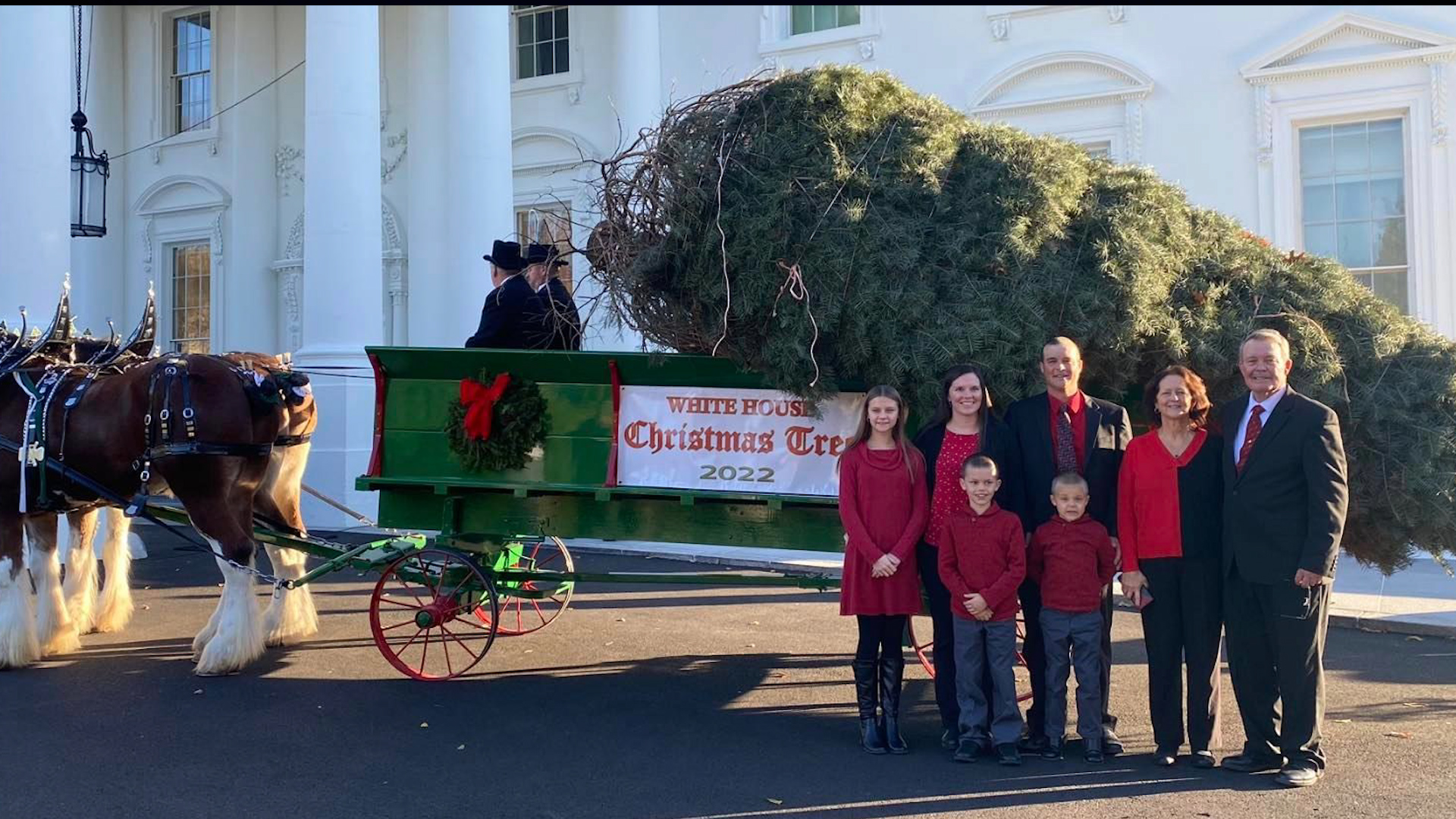 Growing a tree for the White House - Paul Shealer