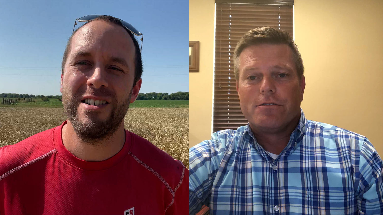4th of July crop update in Illinois and Oklahoma