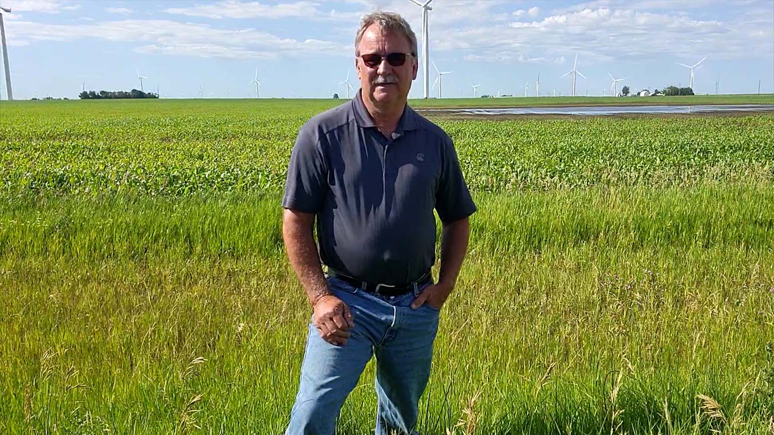 A quick change in rainfall totals reinforces the changing tides of farming - Kelly Nieuwenhuis
