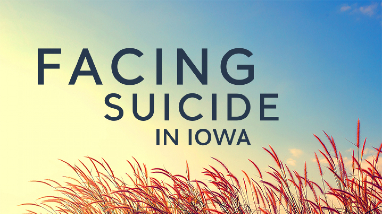 Facing Suicide in Iowa text on sky view with wheat blowing in the wind