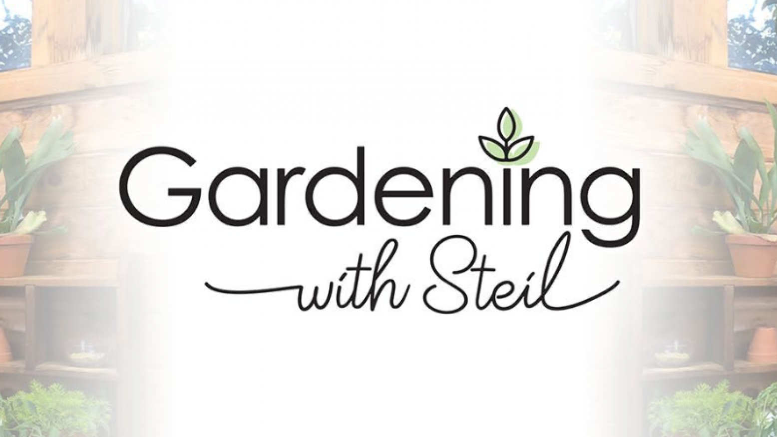 Steil logo
