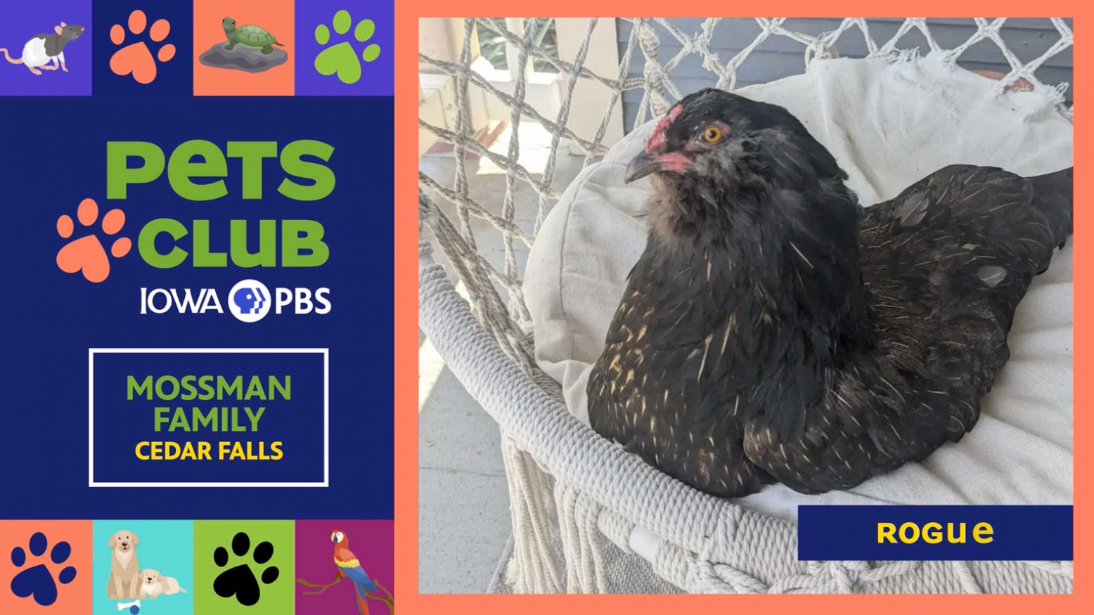 Pets Club January 15, 2026