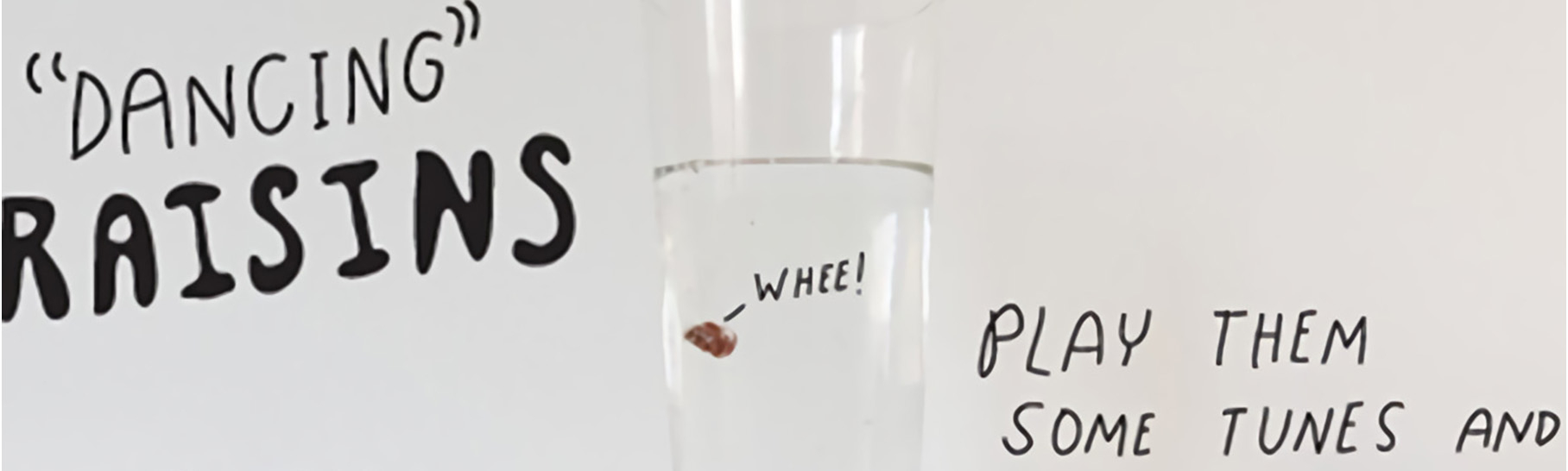 A glass with clear liquid and a raisin inside. Text beside the raisin says “whee.” The text around the glass says “presenting dancing raisins” and “I’m ready to bust a move on the dance floor” with a line pointing to a raisin. Additional text says “Play them some tunes and let density do the rest.”