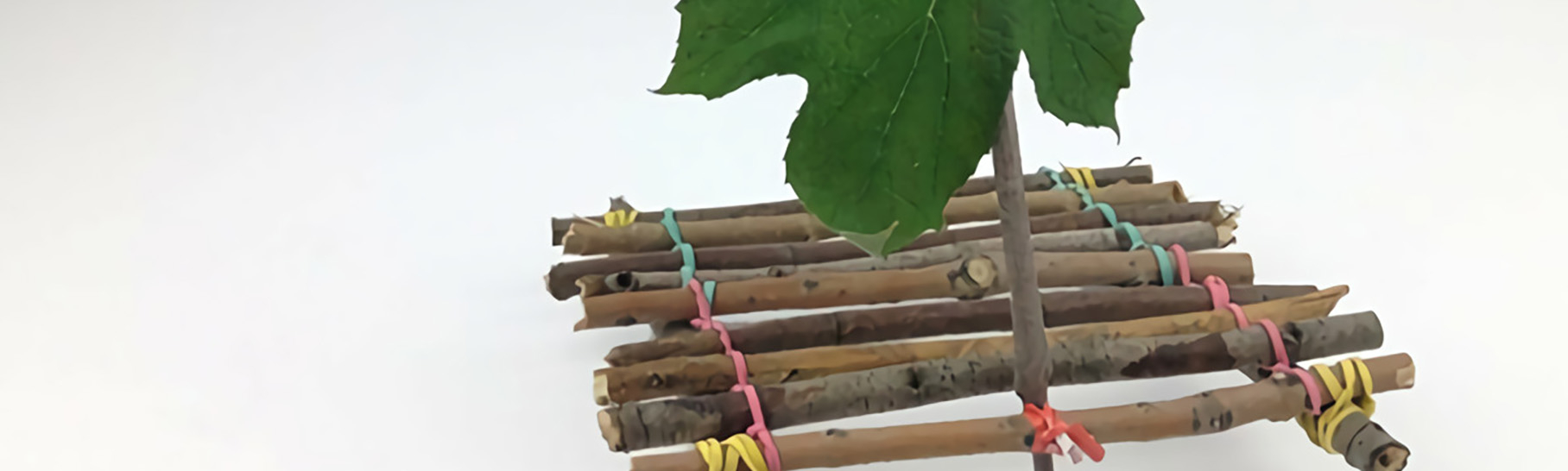 Sailboat using a leaf for the mast and sticks that make up the raft-like base of the sailboat.