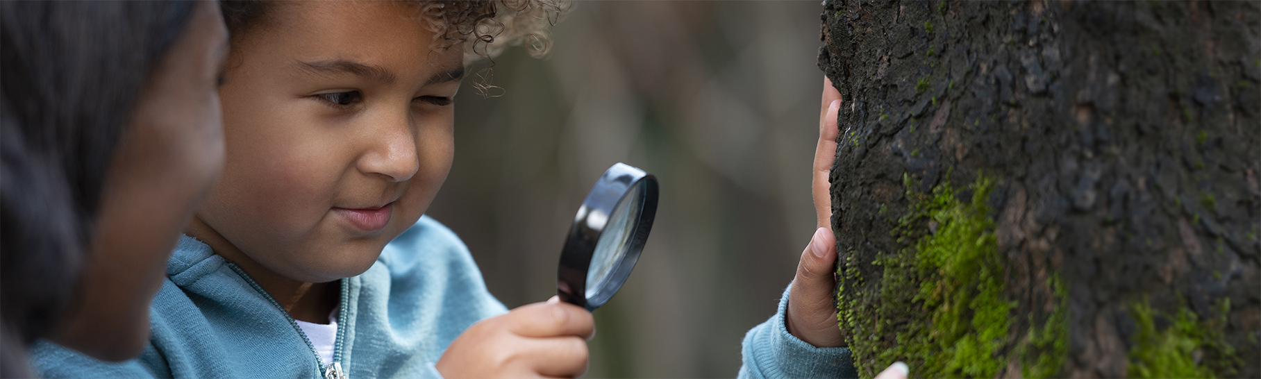 An adult and child examine a tree with a magnifying glass.