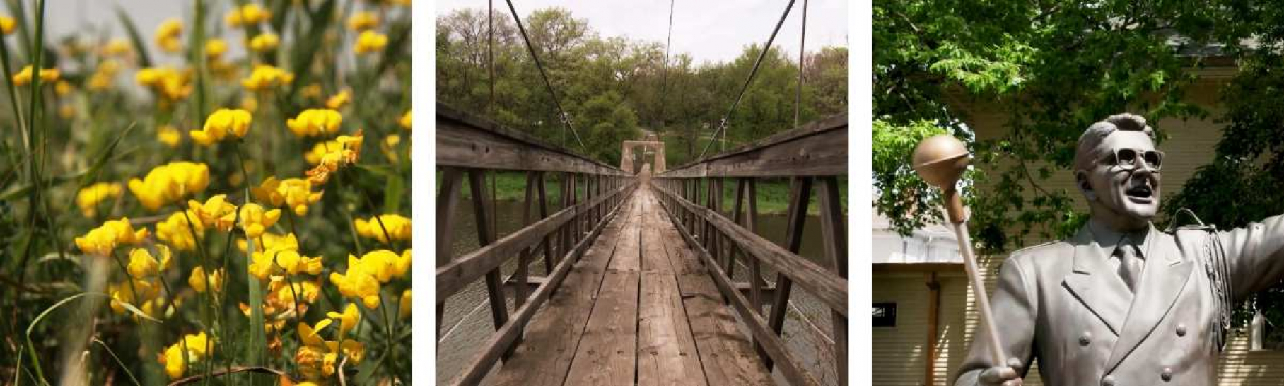 Three photos from L-R: yellow flowers, a wooden bridge, a bronze statue of Meredith Willson