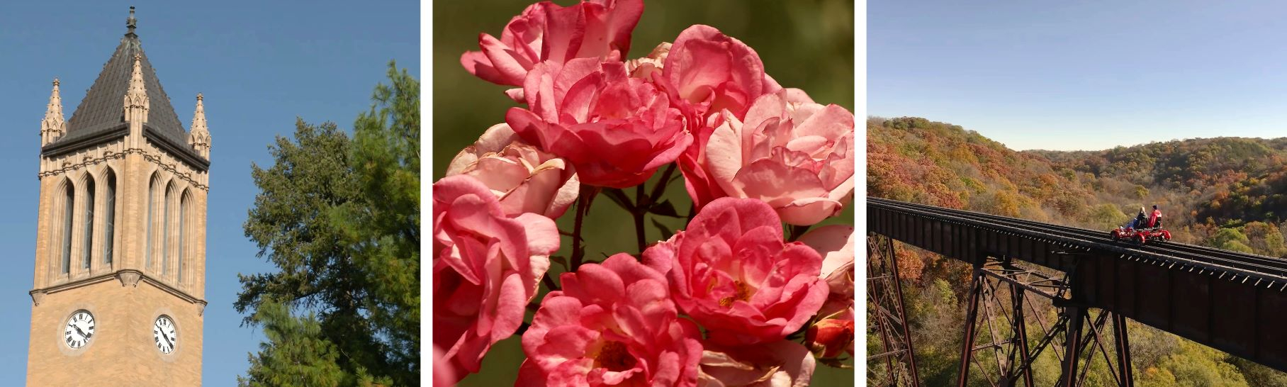 Triptych showing a clock tower, pink roses, and people on a railway bridge.