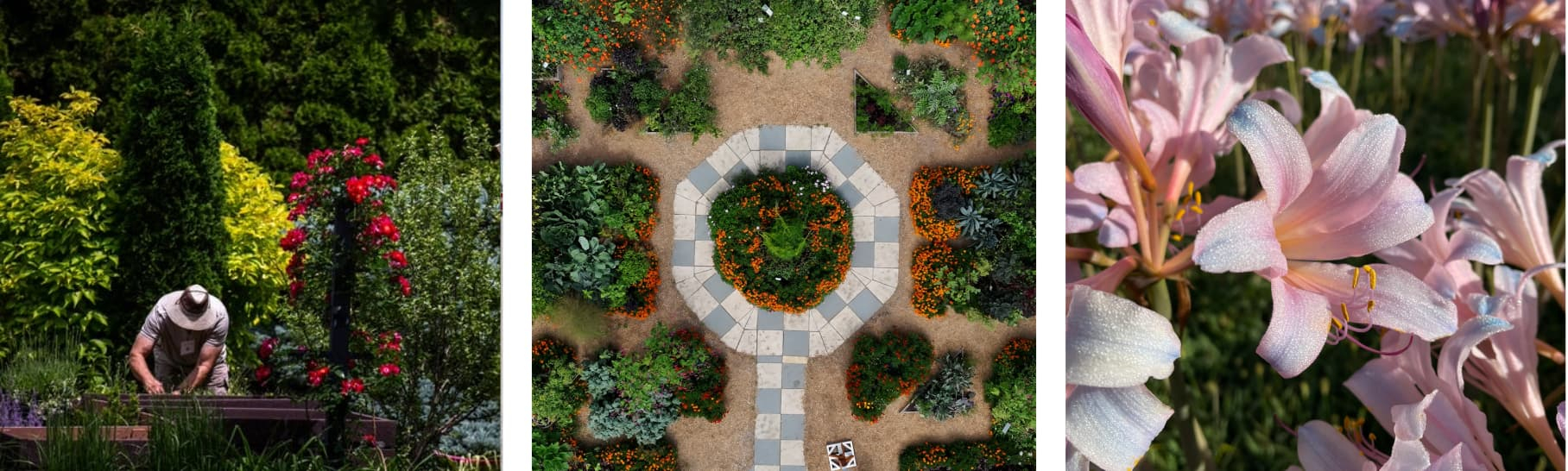 Collage of 3 images featuring outdoor spaces with plants and flowers